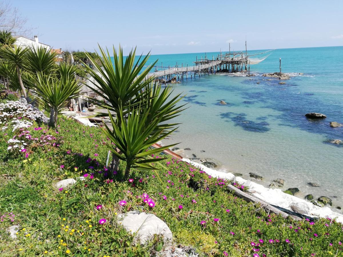 Sole & Querce Apartments- Bike Friendly With Garage Lanciano Exterior photo
